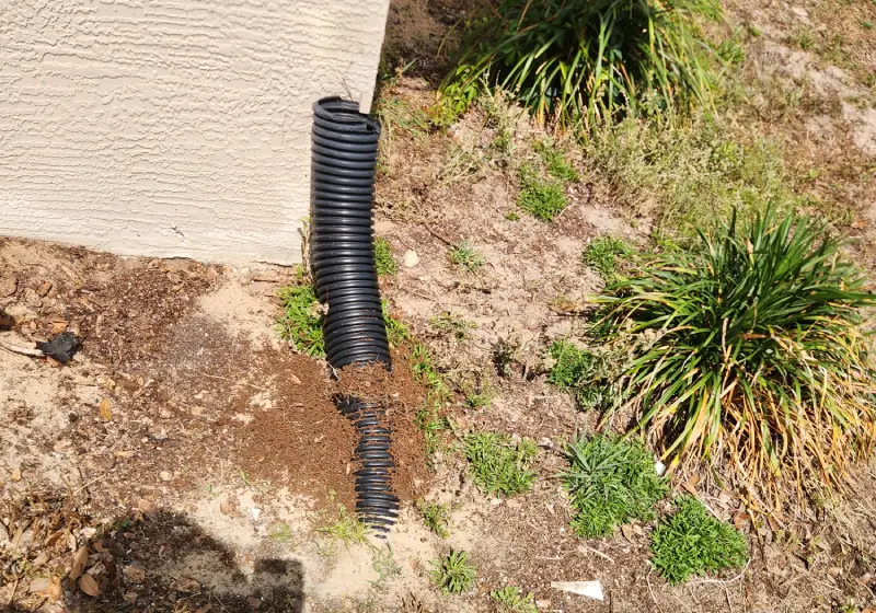 Drainage & Water Mitigation