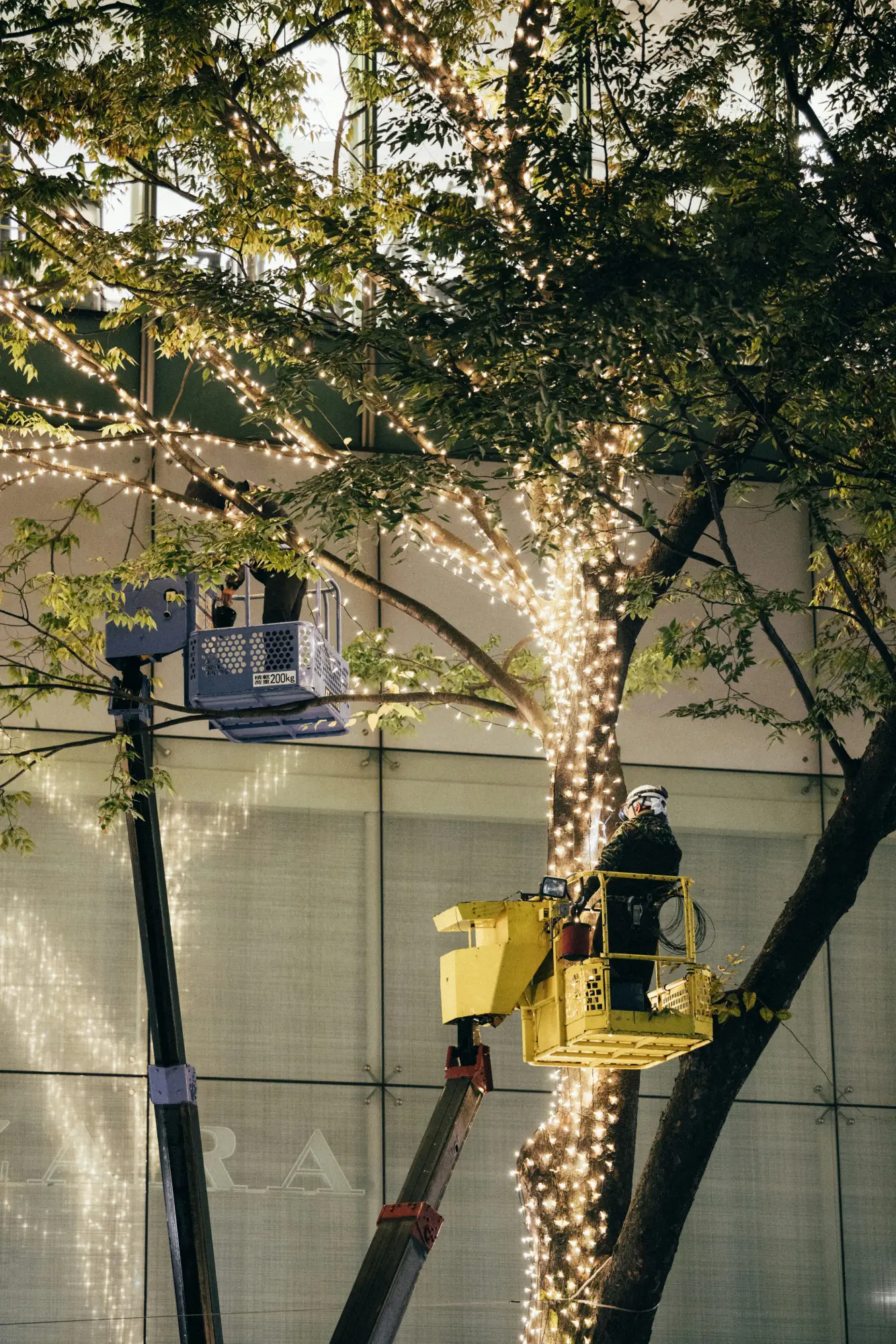 Commercial Christmas Light Installation in Ocala, FL